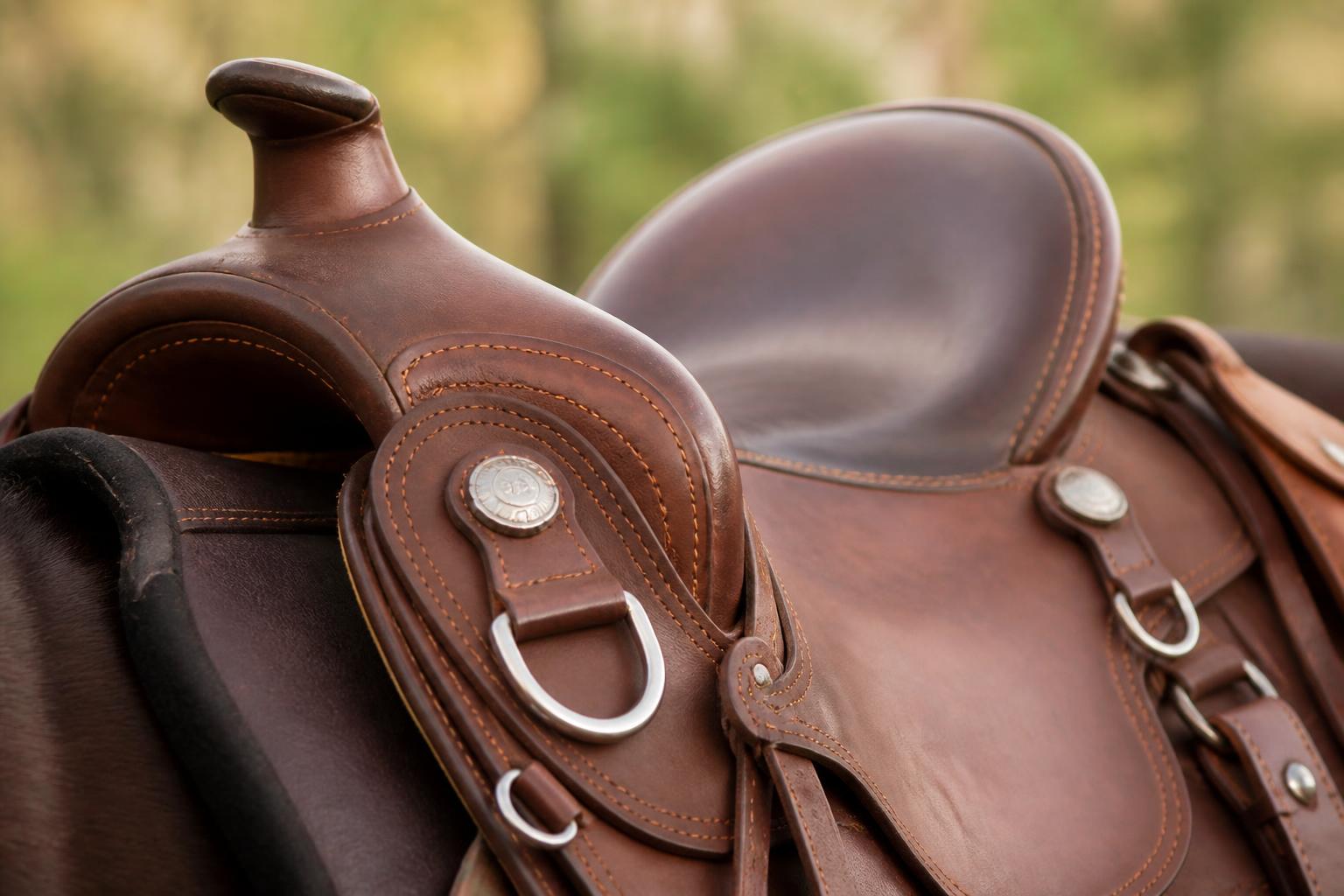 Détail d'une selle de randonnée montrant les anneaux et points d'attache pour les sacoches