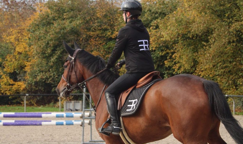 equirider chevaux cheval