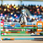 achat poney compétition cso as 2