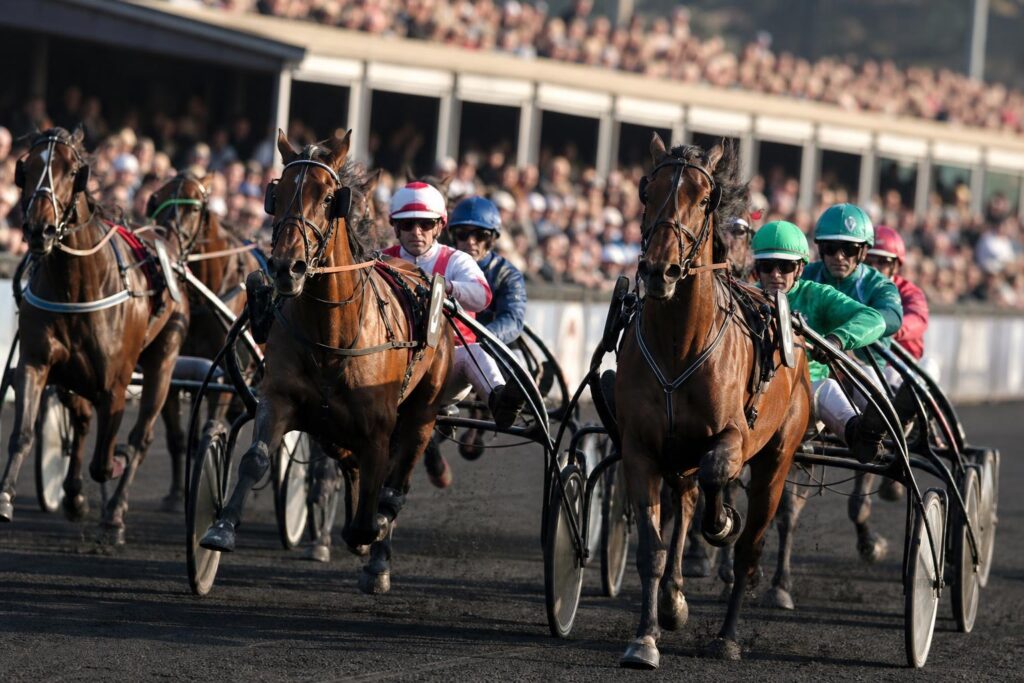 Prix d amérique pronostic 2025
