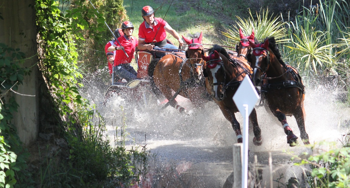 Saumur 2025 attelage sport