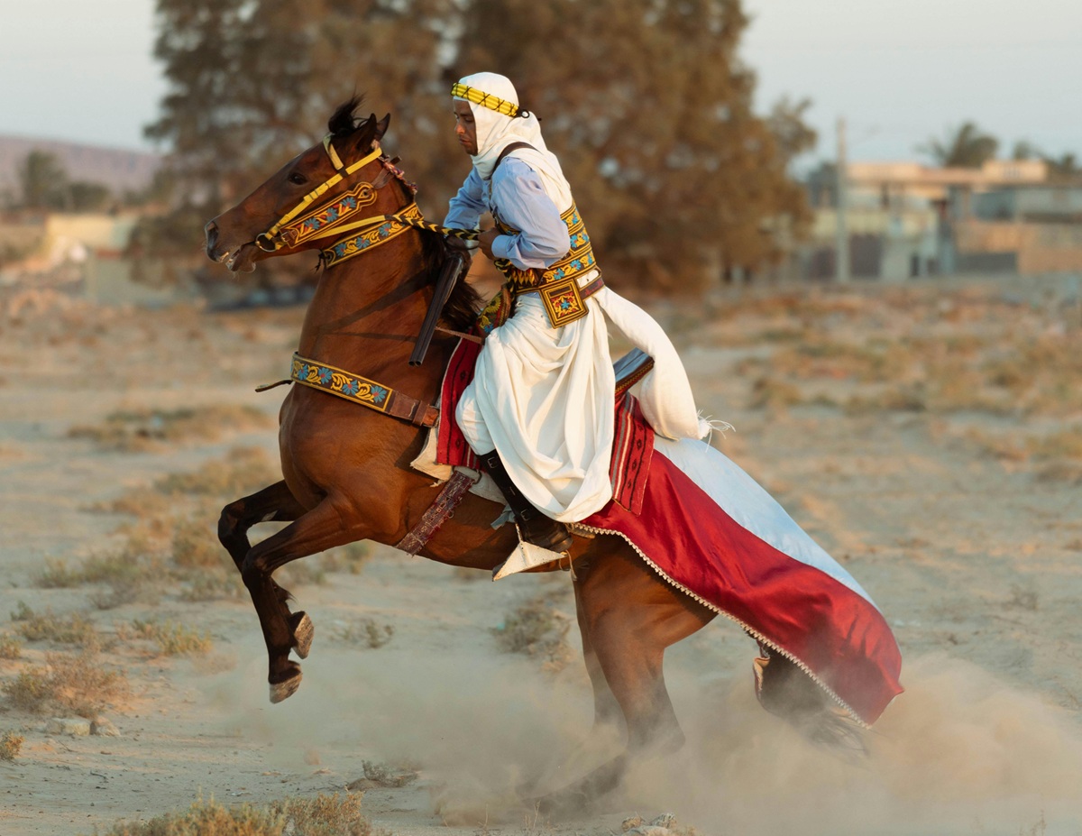 cheval arabe cavalier desert
