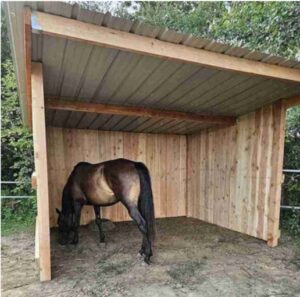 Abrivert – Abri chevaux bardage bois Douglas