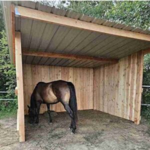 Abrivert – Abri chevaux bardage bois Douglas