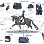 cheval shop eysines : tout pour l’équipement du cavalier et du cheval