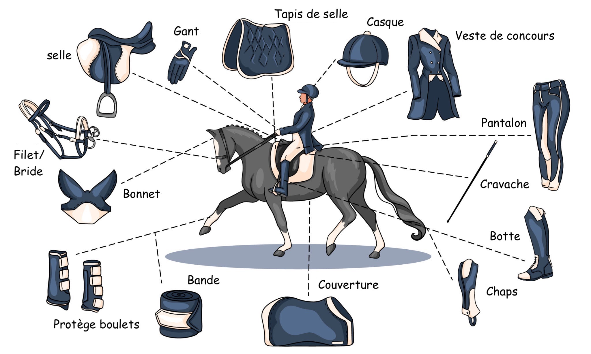 découvrez notre sélection d'équipements pour cavalier et cheval : vêtements, protections, selles, accessoires et matériel d'équitation adaptés à tous les niveaux pour pratiquer votre passion en toute sécurité et confort.