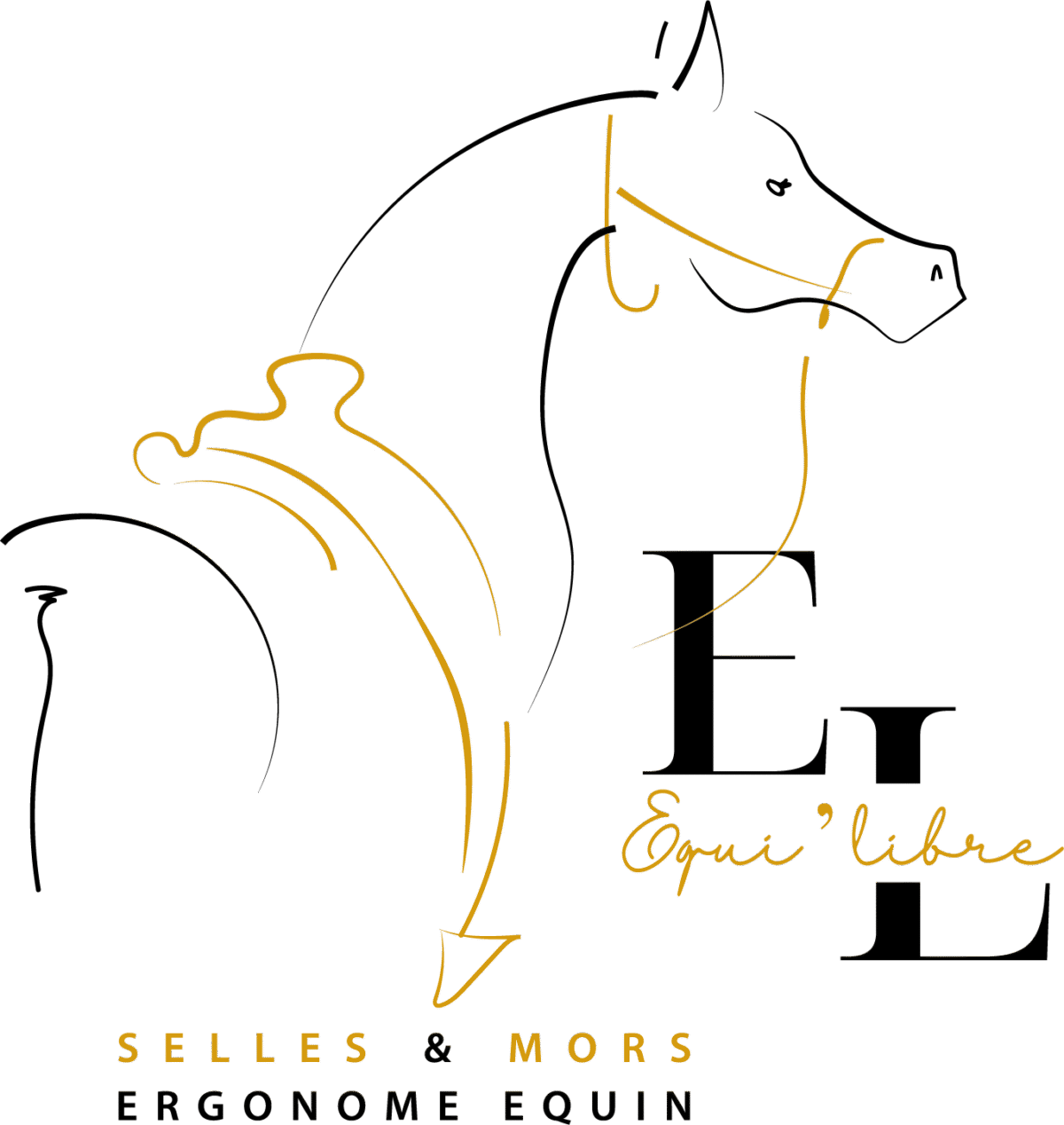 découvrez les meilleures adresses pour équiper votre cheval avec du matériel de qualité : selleries, équipements, accessoires et conseils pour cavaliers exigeants.