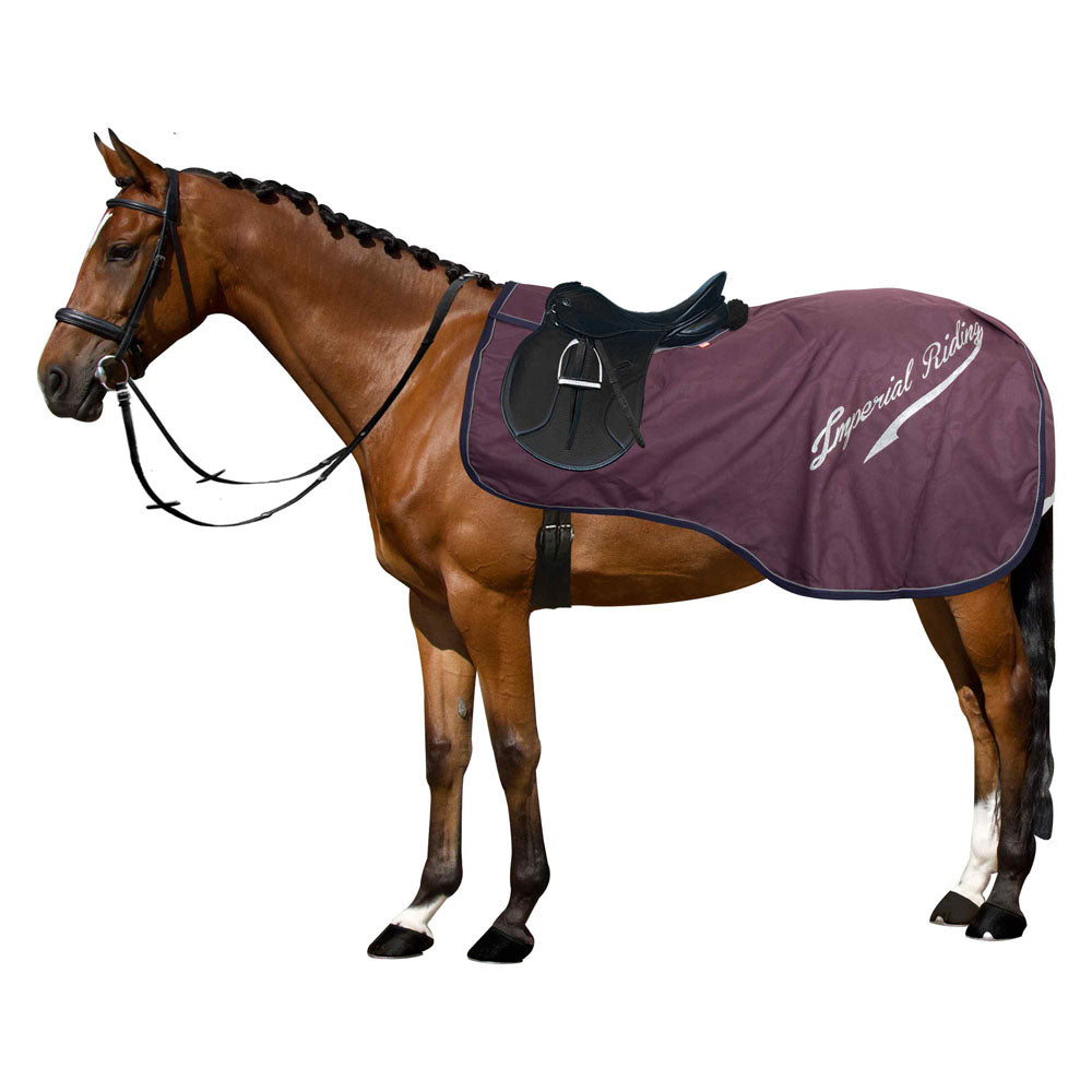 découvrez l'univers du mode équestre : tendances, conseils et accessoires pour allier élégance et passion du cheval. inspirez-vous des looks cavaliers et des incontournables de l'équitation.