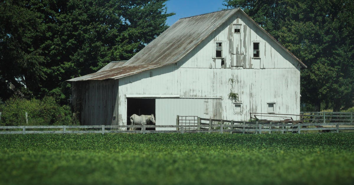 découvrez la génomique équine : explorez les avancées, applications et enjeux de l’analyse du génome chez le cheval pour la santé, la reproduction et la sélection des meilleures lignées.