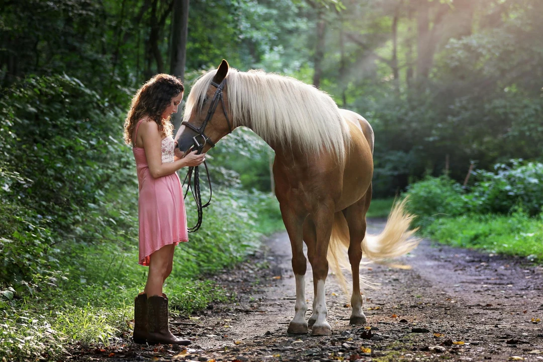 Trouver l'amour quand on vit pour l'équitation : guide pour cavaliers célibataires
