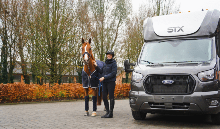 STX Horseboxes STX – Ford Transit USA