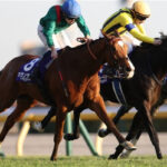 Événement inédit : Calandagan choisit la France pour accueillir la Japan Cup 2025