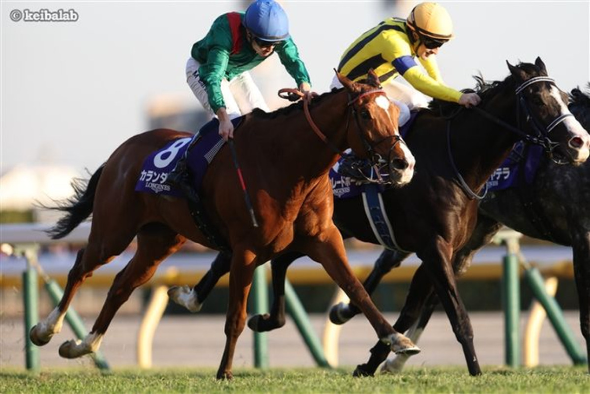 calandagan choisit la france pour participer à la japan cup 2025, marquant une étape importante dans sa carrière internationale.