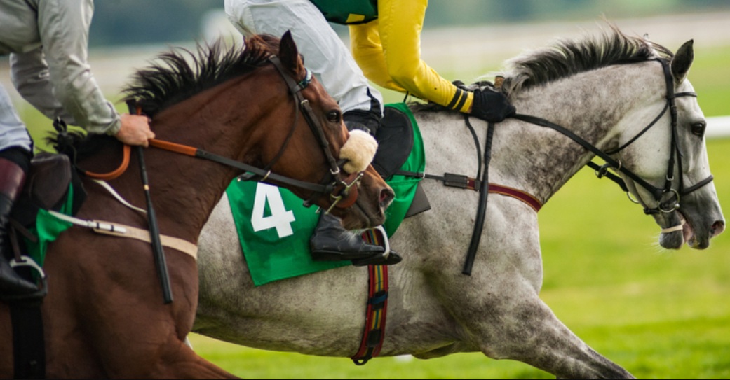 chevaux gagnants