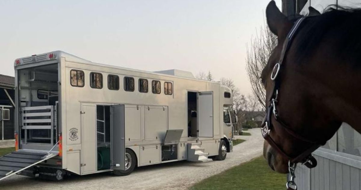 découvrez notre camion 3 places conçu spécialement pour le transport sécurisé et confortable de vos chevaux, alliant praticité et sécurité.