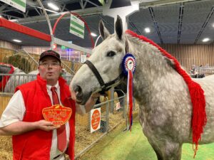 Percheron au travail