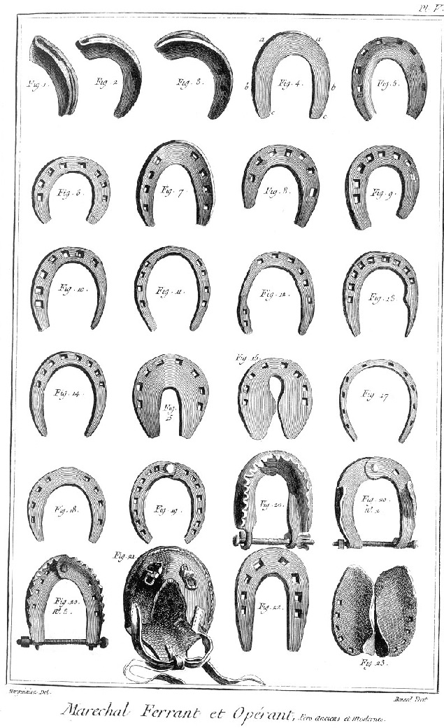 découvrez l'histoire de la maréchalerie, cet artisanat ancestral dédié au soin et à l'entretien des chevaux, entre tradition et savoir-faire.