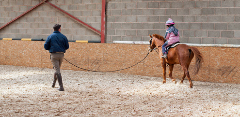 découvrez le salaire d'un moniteur d'équitation indépendant, les facteurs qui influencent ses revenus et les conseils pour optimiser sa rémunération dans ce métier passionnant.