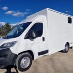 Pourquoi il ne faut jamais transporter son cheval dans un camion betaillere