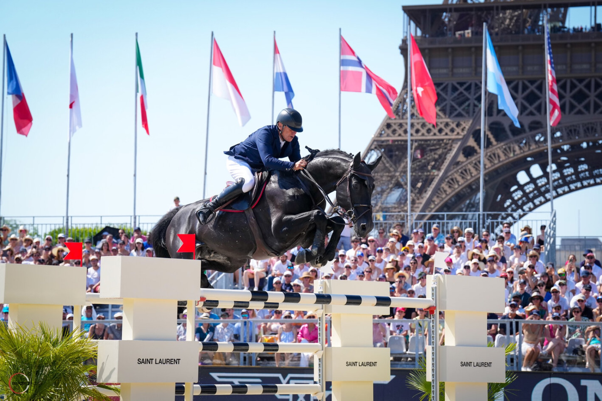 découvrez notre sélection de chevaux de sport à vendre, adaptés à tous niveaux et disciplines. trouvez le cheval idéal pour la compétition ou le loisir.