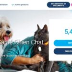 Assurance animaux pas cher : protégez votre compagnon sans vous ruiner