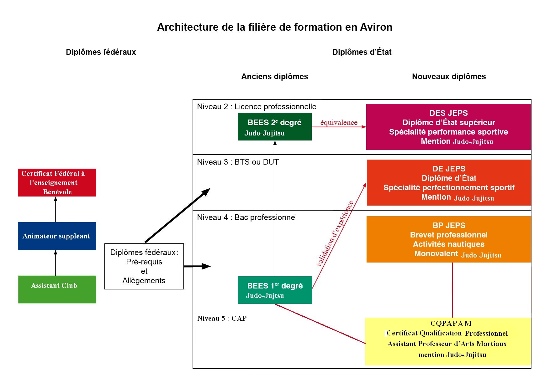 découvrez les objectifs, le programme détaillé et les débouchés du bees 2e degré pour bien préparer votre formation dans le secteur sportif.