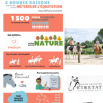 Tout savoir sur le bpjeps activités équestres : formation, débouchés et conseils