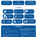 Tout savoir sur le bpjeps équitation : formation, débouchés et conseils