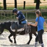 Tout savoir sur le bpjeps équitation tradition travail en 2026