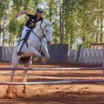 Tout savoir sur le bpjeps équitation western et ses débouchés