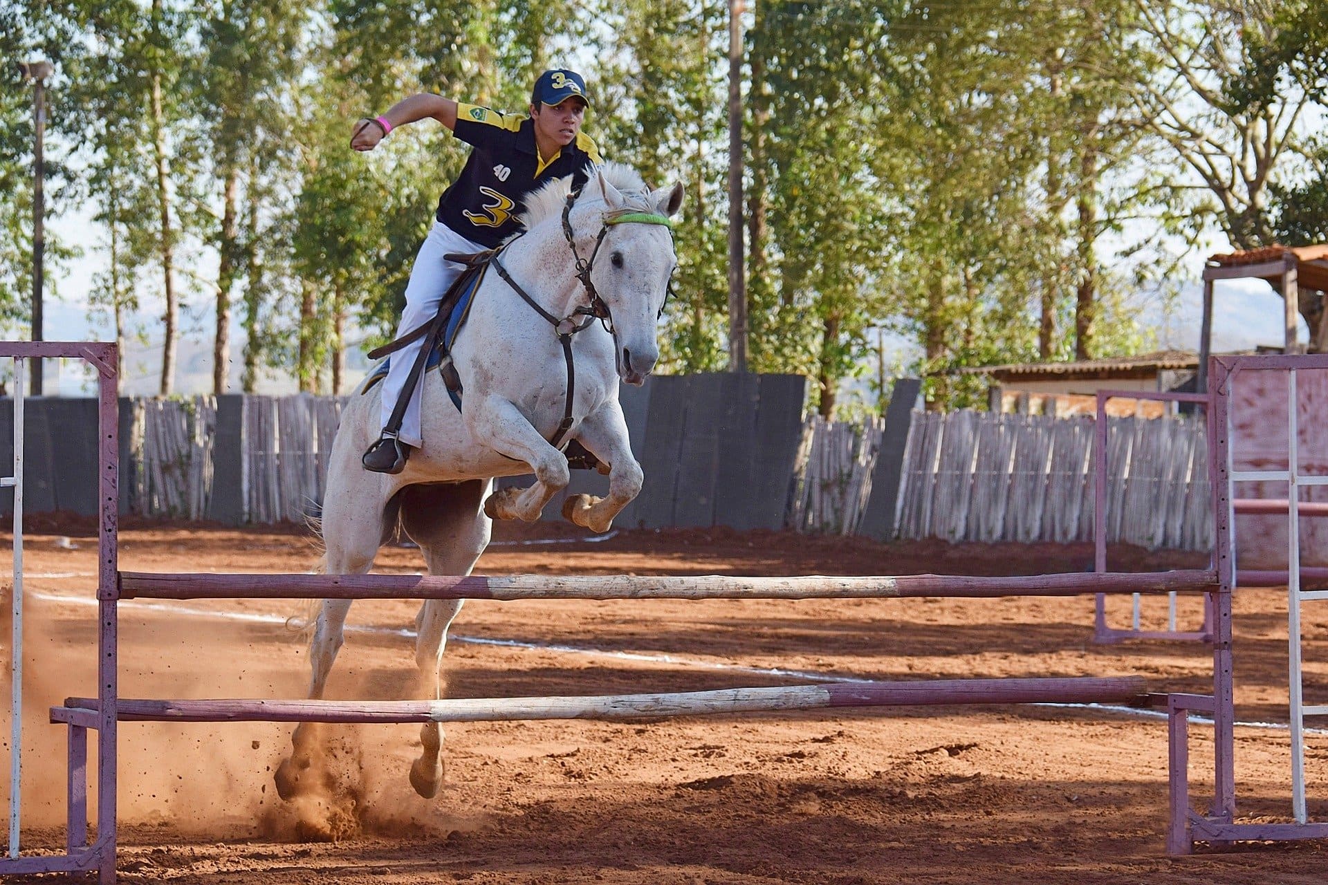 découvrez le bpjeps équitation western, une formation professionnelle dédiée aux techniques de l'équitation western, et explorez les débouchés possibles dans ce secteur en plein essor.