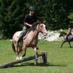 Tout savoir sur le BPJEPS tourisme équestre : formation et débouchés