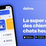 Dalma assurance animaux : protégez votre compagnon avec la meilleure offre