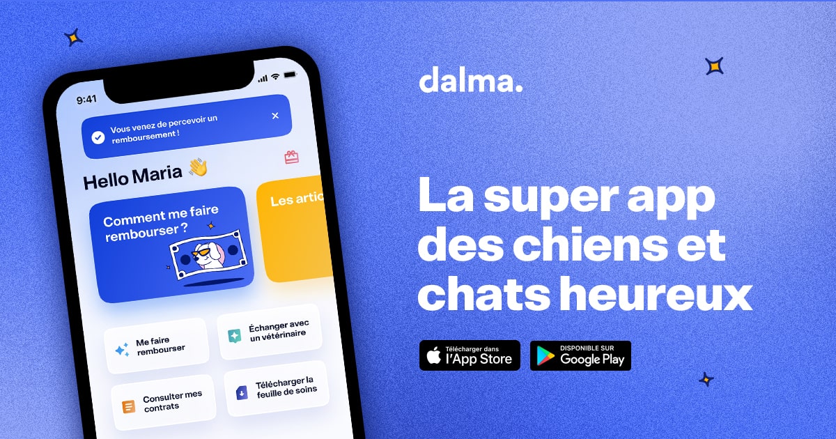 dalma assurance animaux offre des solutions complètes pour protéger la santé et le bien-être de votre compagnon à quatre pattes. garantie adaptée et services personnalisés.