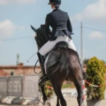 Tout savoir sur le desjeps équitation en 2026