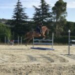 Tout savoir sur le djeps sports équestres : formation, débouchés et conseils