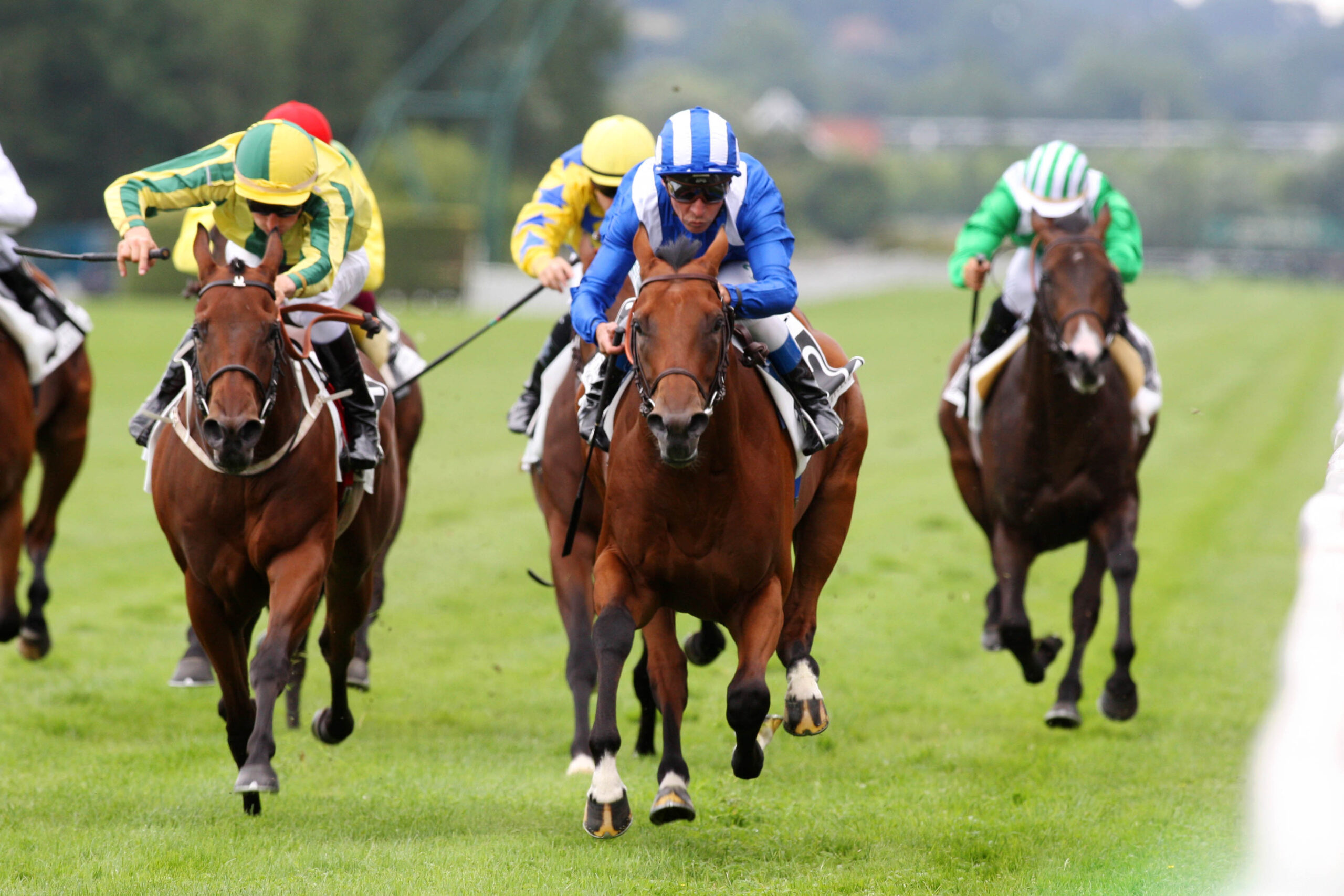 filiere turf