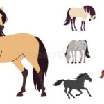 Les meilleurs noms pour chevaux : idées selon le sexe, la couleur et la race