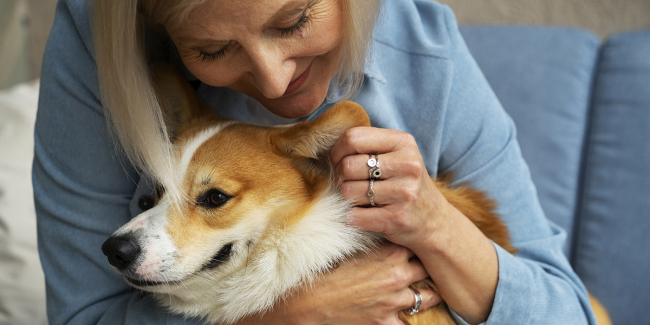 découvrez les joies d'adopter un chien, un compagnon fidèle qui saura vous apporter amour, loyauté et bonheur au quotidien.
