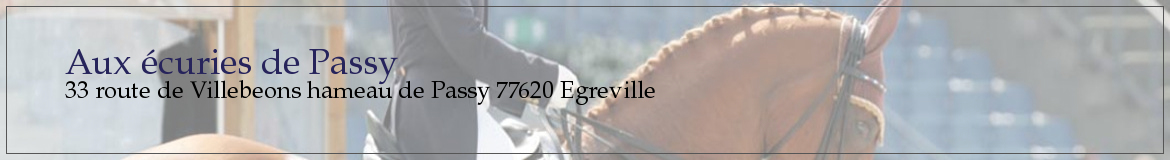 SOC HIPPIQUE EQUITATION - Bourron-Marlotte