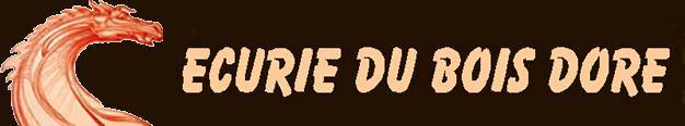 CLUB EQUESTRE DU BOID DORE - Dietwiller