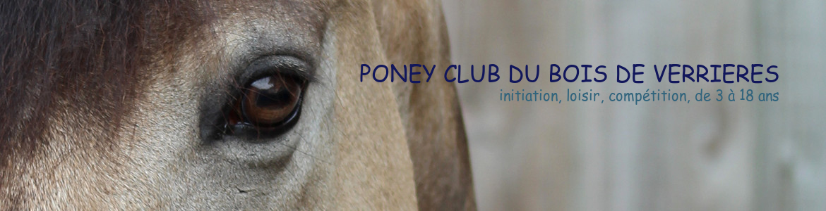 PONEY CLUB DU BOIS DE VERRIERES - Verrieres-Le-Buisson