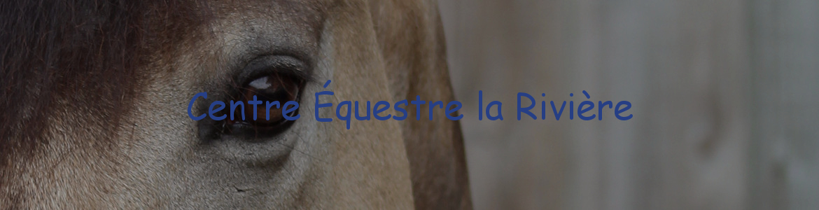 EXPLOITATION AGRICOLE A RESPONSABILITE LIMITEE CENTRE EQUESTRE LA RIVIERE - Saint-Martin-En-Haut