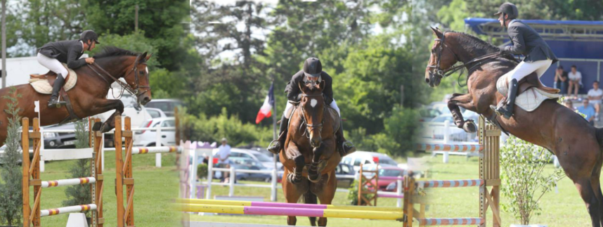 LES GUILLOIS CENTRE EQUESTRE - Courtenay