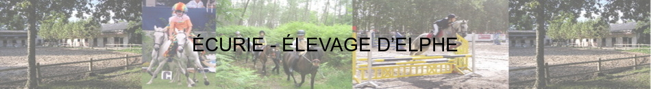 PONEY CLUB DU BOIS DE PIGOU - Cartelegue