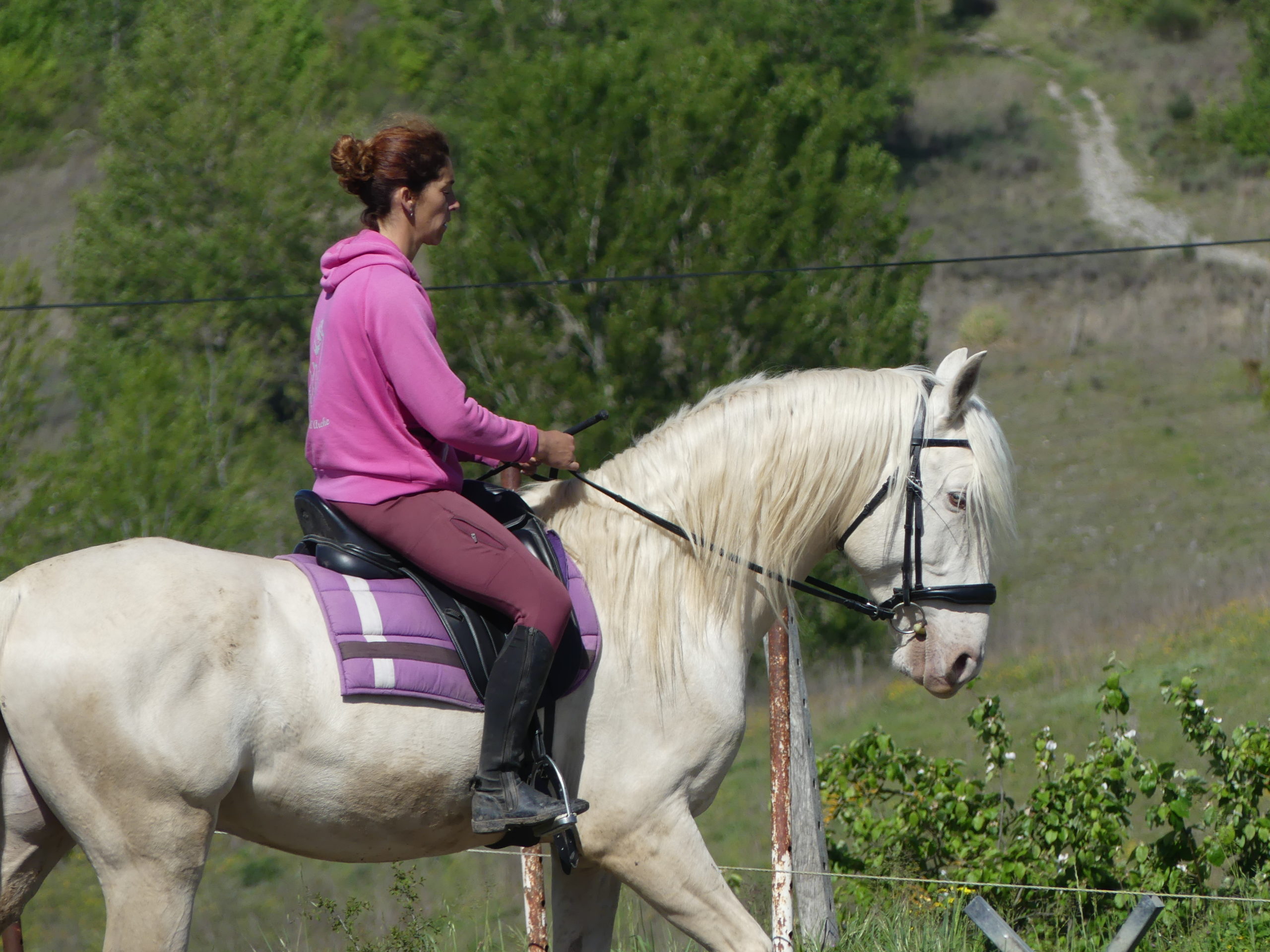 ASSOC DEVELOP EQUITHERAPIE REEDUCATION.. - Le Garric