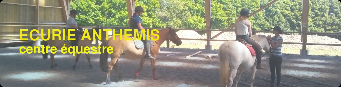 LE PONEY CLUB DE MARTAINVILLE - Martainville