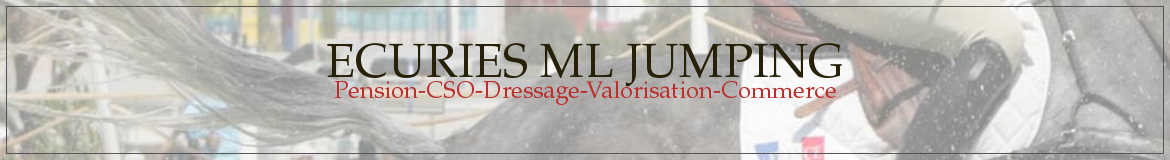 INTERNATIONAL EQUITATION SERVICES (IES) - Vitre