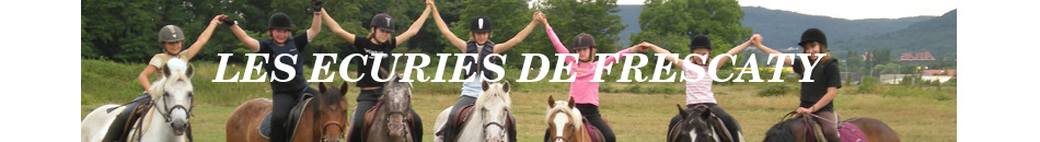 EQUITATION BOUTIQUE PLUS - Moulins-Les-Metz