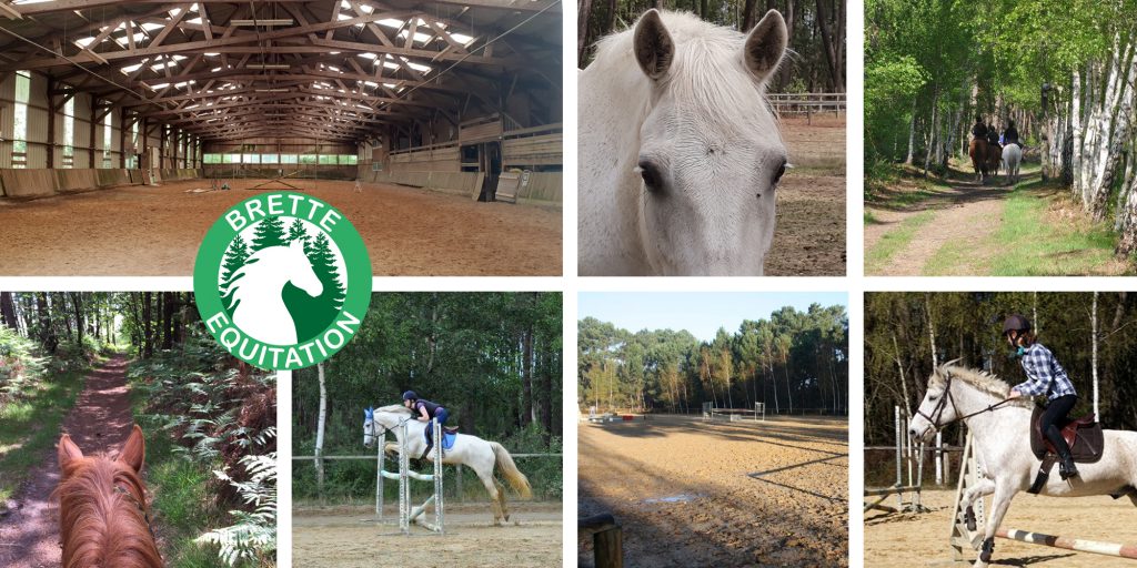 ASSOC POUR LA PROMOTION DE L'EQUITATION (APE) - Brette-Les-Pins
